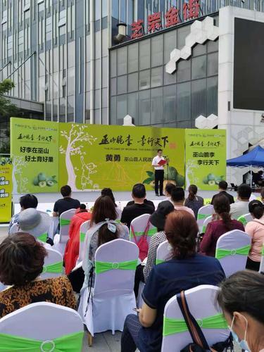 重慶李子年產(chǎn)量約68.8萬(wàn)噸,脆李種植戶(hù)基本實(shí)現(xiàn)家門(mén)口就能投遞