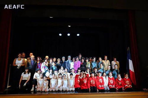 中法文化藝術(shù)交流協(xié)會(huì)迎春活動(dòng)暨pde國際舞蹈展演季新聞發(fā)布會(huì)